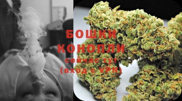 молекула духа Кинешма
