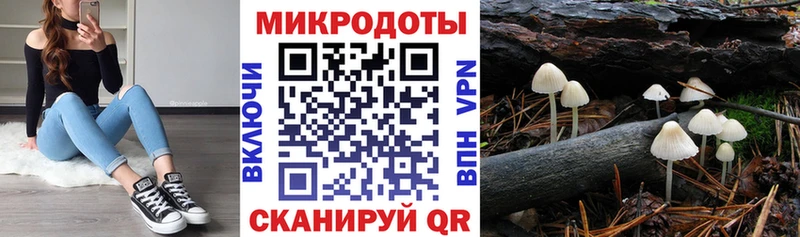 Галлюциногенные грибы мицелий  Купить где  Вольск 